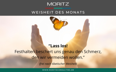 Weisheit des Monats – Februar 2025